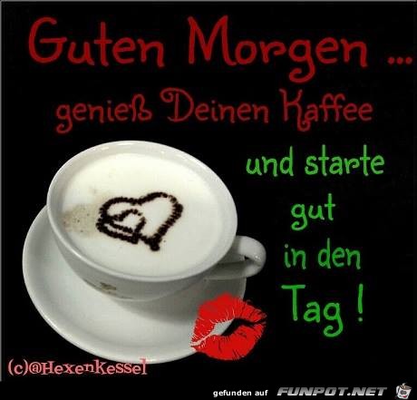 Starte Gut Starte Gut