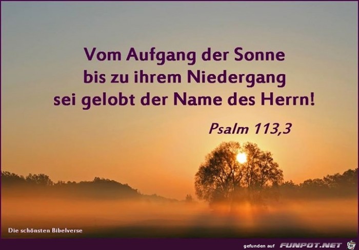 Psalm 113 3
