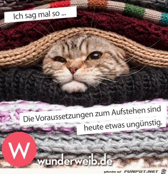 witzige Bilder aus verschiedenen Blogs