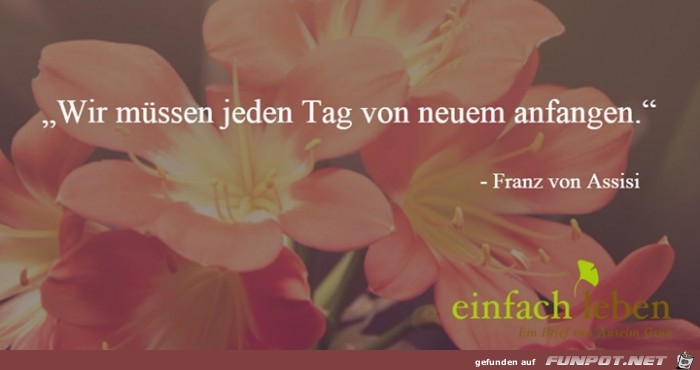 von neuem von neuem
