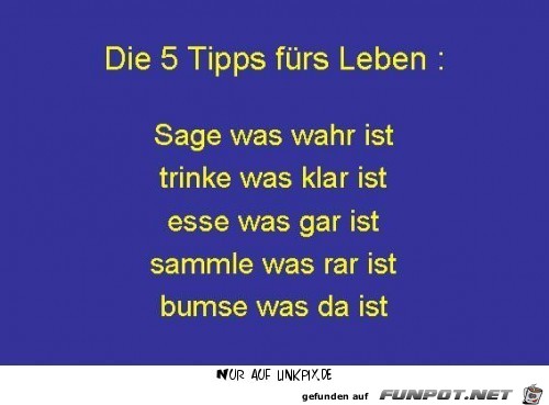 Die 5 Tipps frs Leben