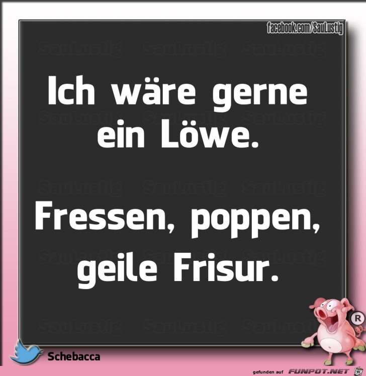 Ich waere gerne ein Loewe