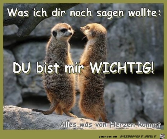 wichtig