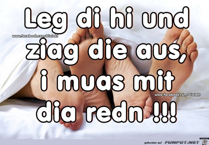 Leg di hi Leg di hi