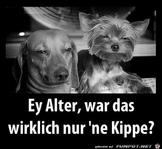 Kippe Kippe