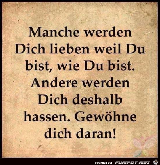 manche werden dich lieben