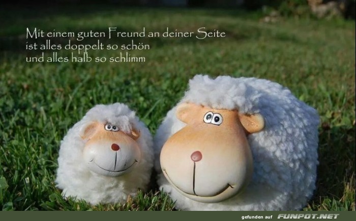 10 sch�ne Spr�che und Lebensweisheiten aus...