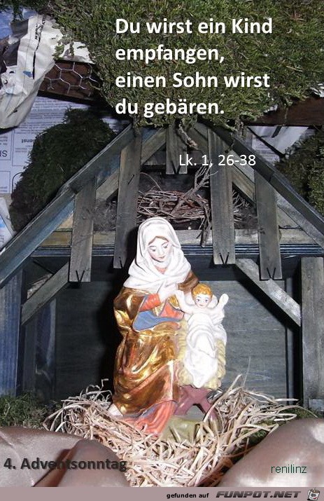 4 4