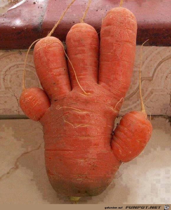 Give me Five-Oeko - Kartotten Give me Five-Oeko - Kartotten