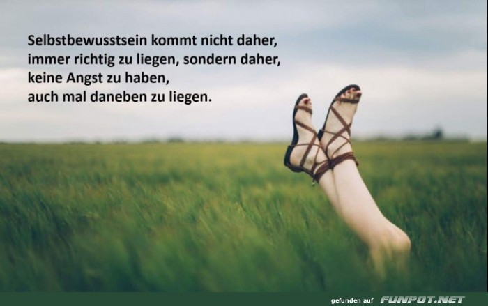 10 sch�ne Spr�che und Lebensweisheiten aus...