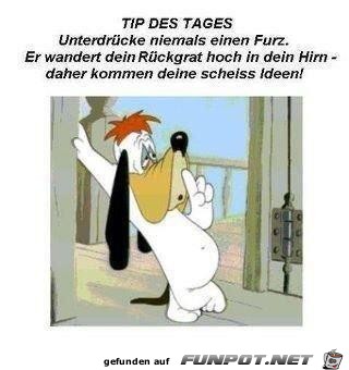 TIP DES TAGES