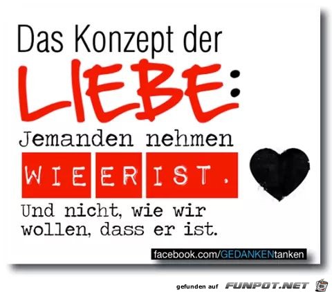 Konzept Konzept