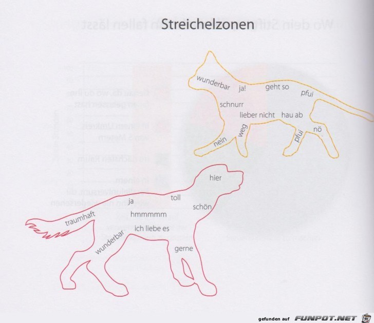 witzige Bilder aus verschiedenen Blogs