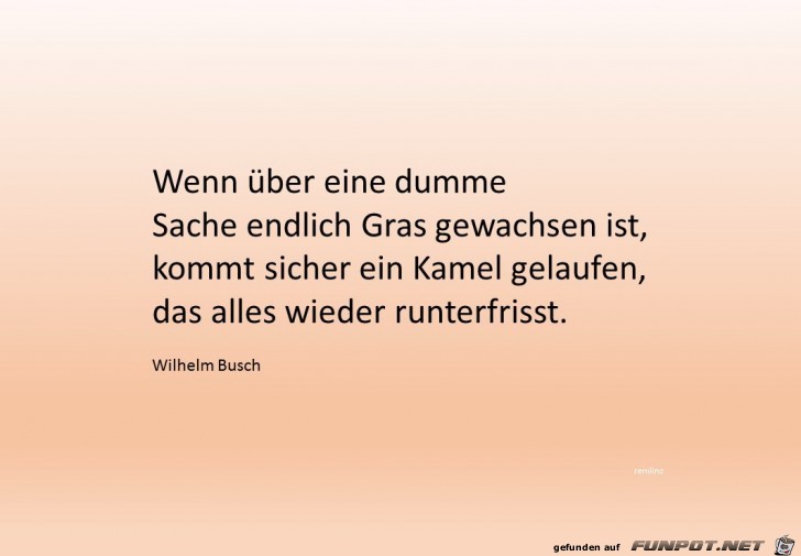 wenn über eine dumme Sache wenn über eine dumme Sache