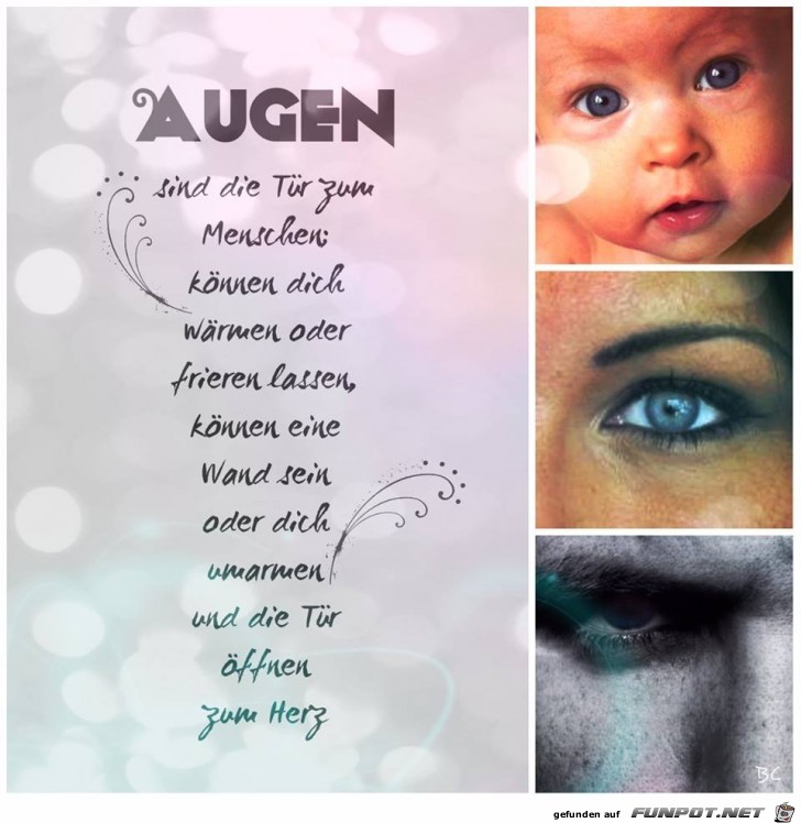 Augen