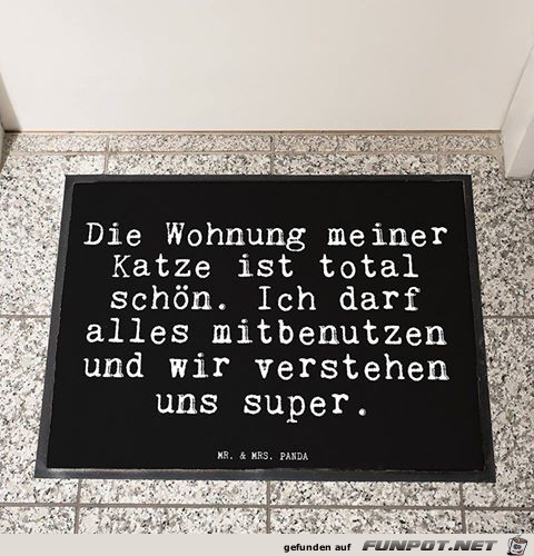 Katze Katze
