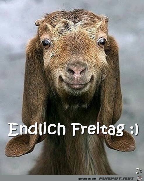 endlich Freitag