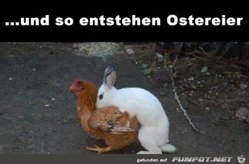 und so entstehen ostereier