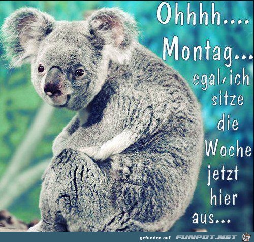 Montag