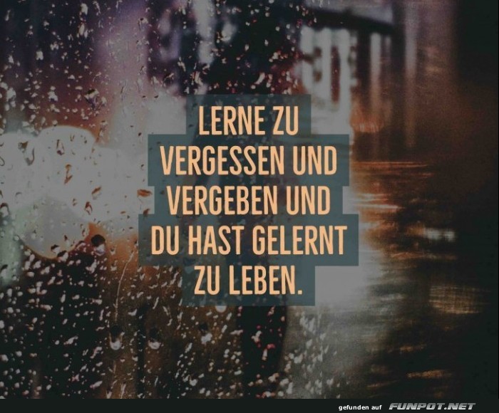 10 schöne Sprüche und Lebensweisheiten aus... 10 schöne Sprüche und Lebensweisheiten aus...