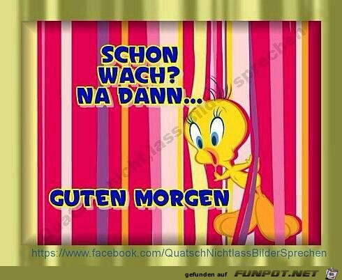 Schon wach Schon wach
