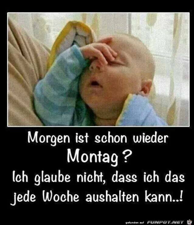 Schon wieder Schon wieder
