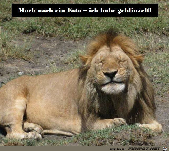 Noch ein Foto Noch ein Foto