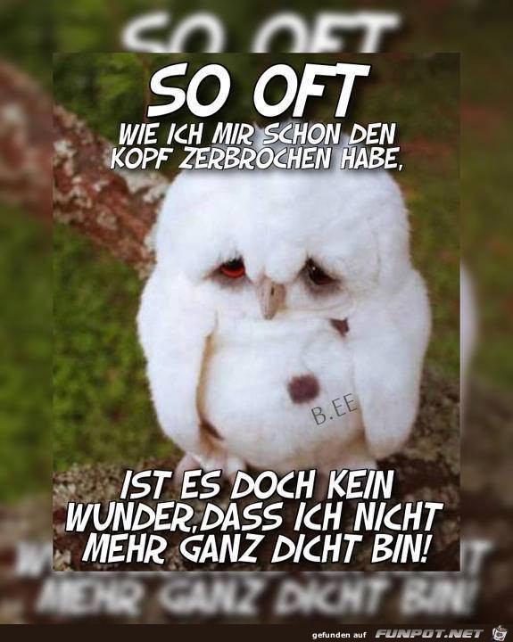 witzige Bilder aus verschiedenen Blogs