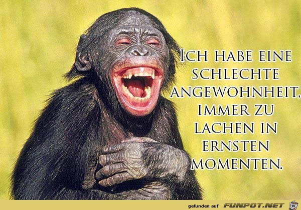 Angewohnheit Angewohnheit