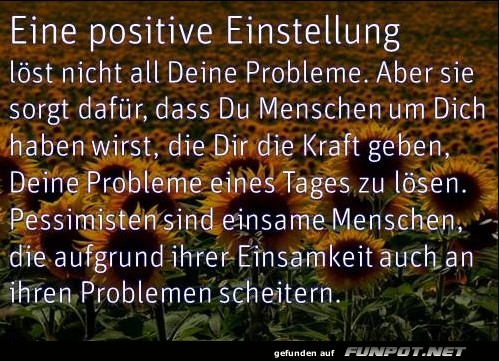 10 schne Sprche und Lebensweisheiten aus...