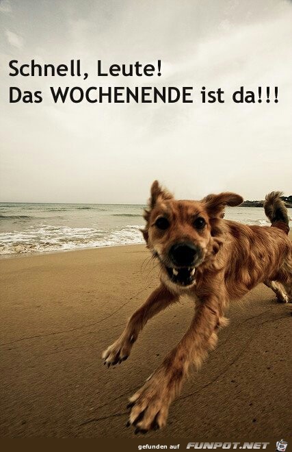 Wochenende ist da