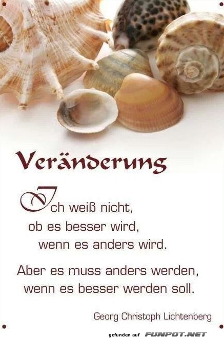 10 sch�ne Spr�che und Lebensweisheiten aus...