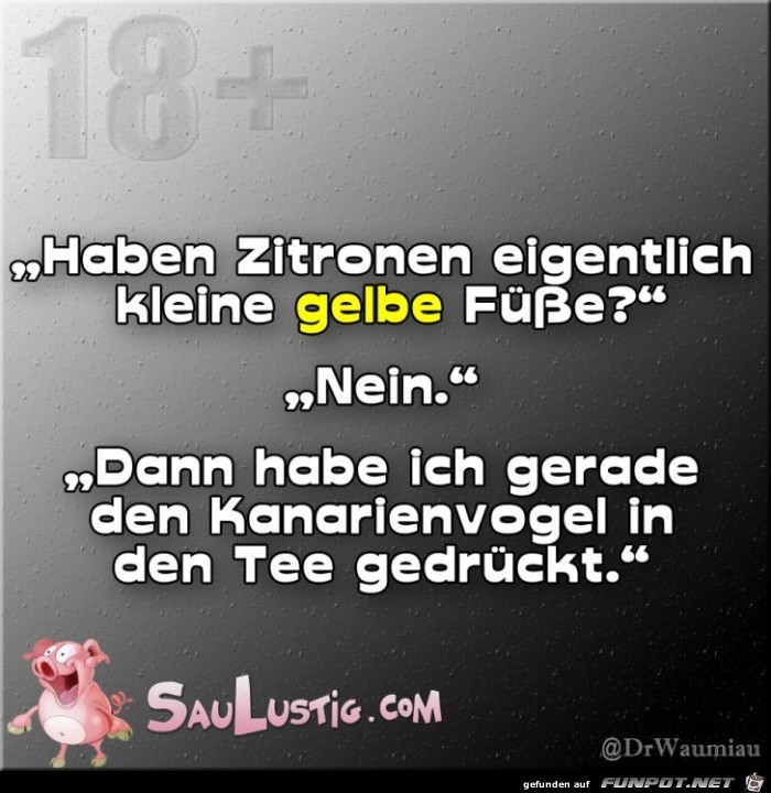 Kleine-gelbe-Fuesse Kleine-gelbe-Fuesse