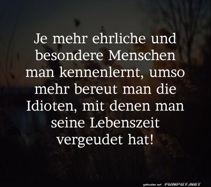 10 sch�ne Spr�che und Lebensweisheiten aus...
