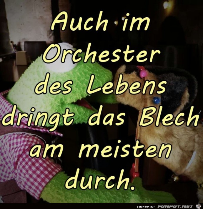 orchester des lebens orchester des lebens