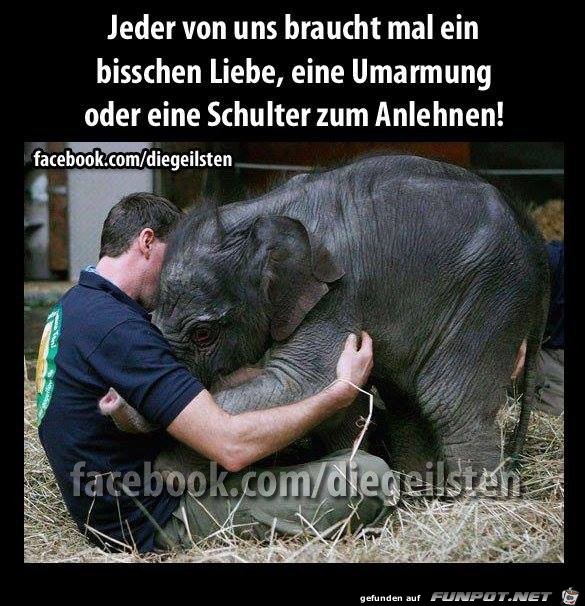 Jeder von uns Jeder von uns