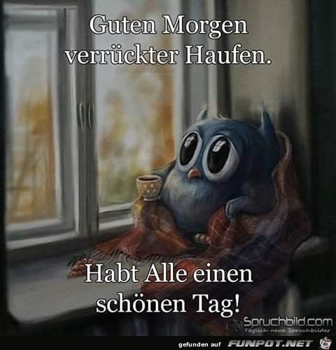 Guten Morgen