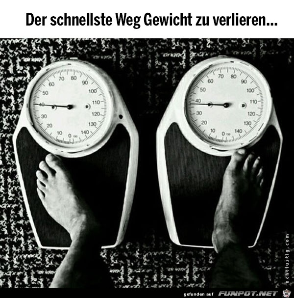 witzige Bilder aus verschiedenen Blogs