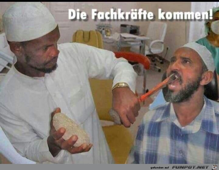 die Fachkraefte kommen die Fachkraefte kommen