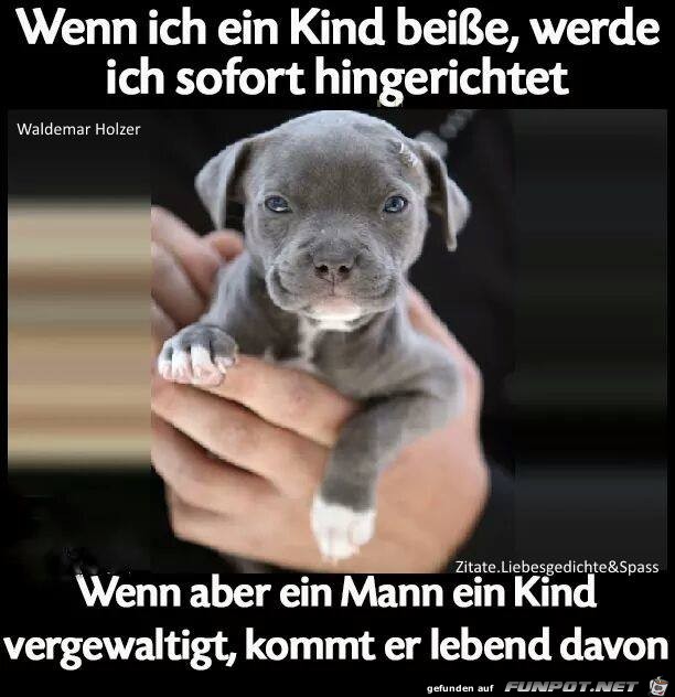 Wenn ich ein Kind beisse Wenn ich ein Kind beisse