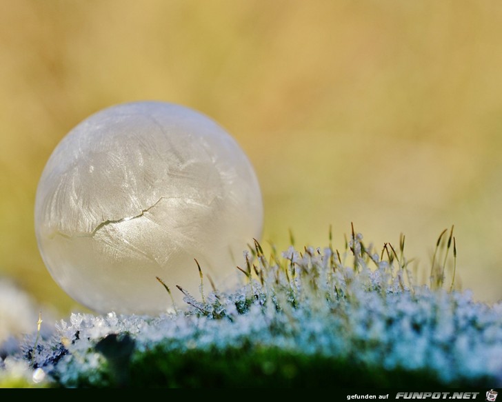 Gigantische Schnee- und Eis-Formationen!