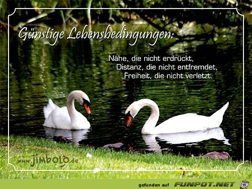 Nähe Nähe