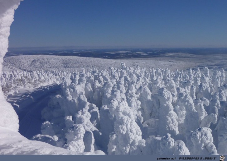 Frost Sturm - WOW!