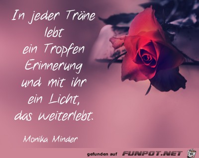 in-jeder-traene