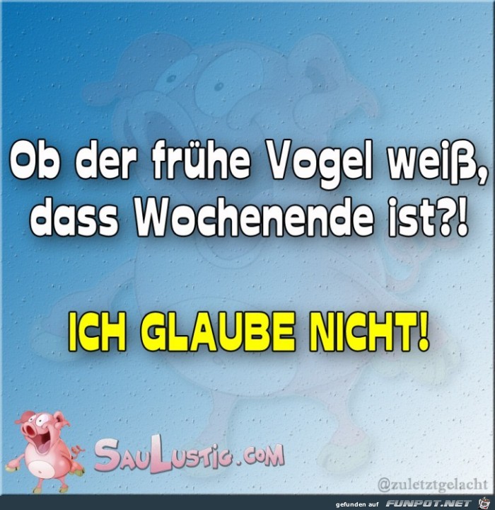 Der frhe Vogel