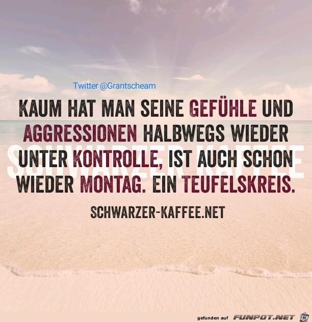 Teufelskreis Teufelskreis
