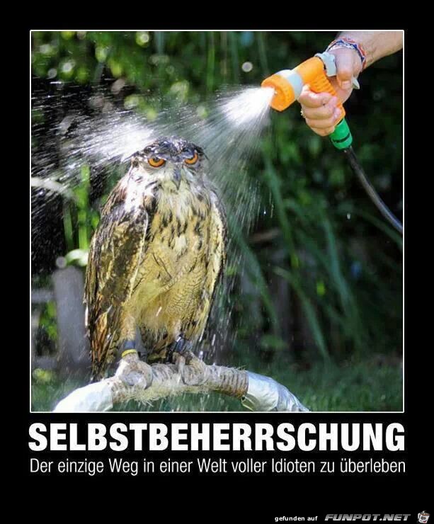 selbsbeherrschung