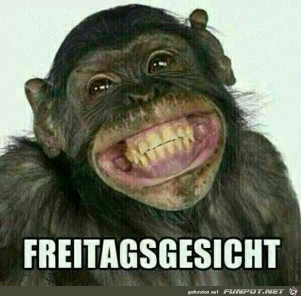 Freitagsgesicht Freitagsgesicht