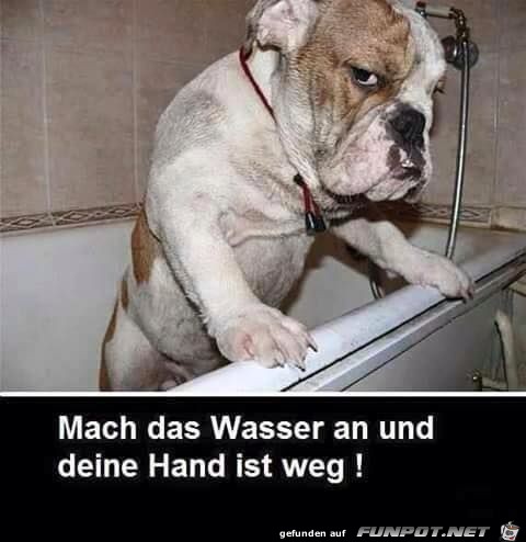 Wasser an Wasser an