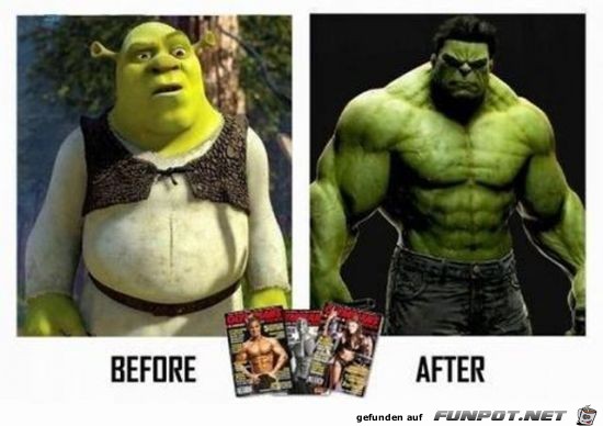 Body Building Body Building